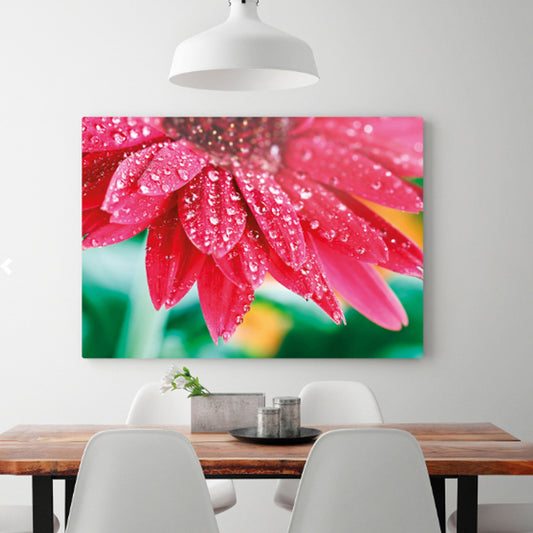 Acrylic Print Big Sizes