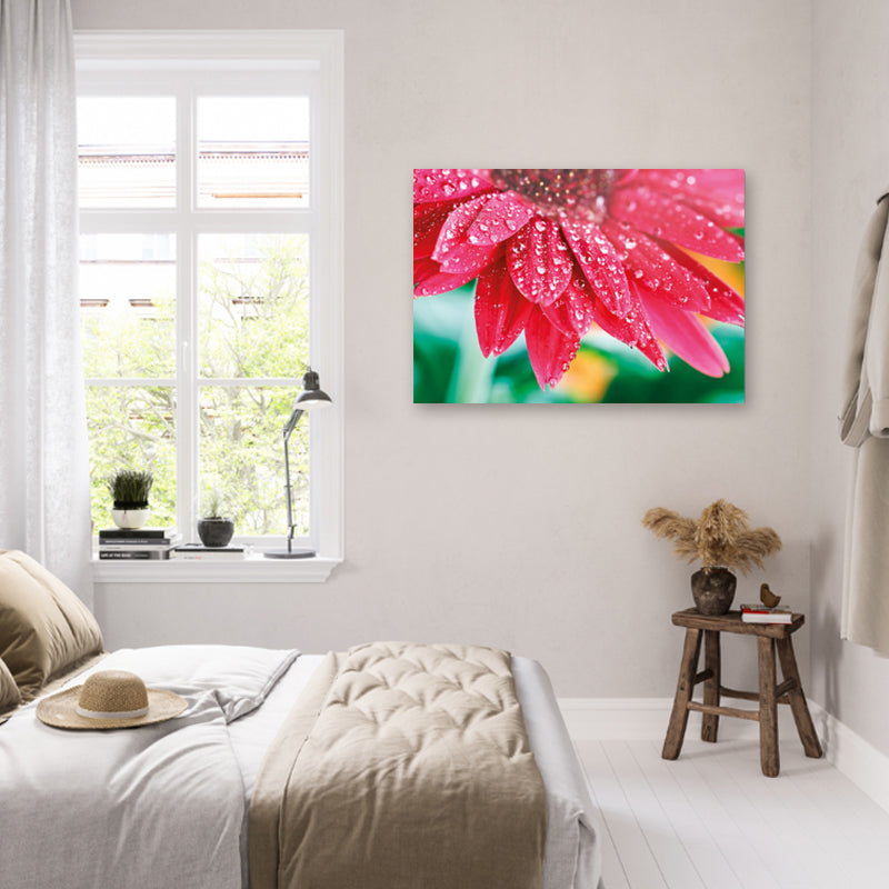 Acrylic Print Big Sizes